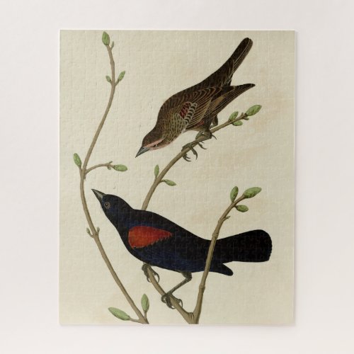 Red_winged Blackbird _ Audubons Birds of America Jigsaw Puzzle