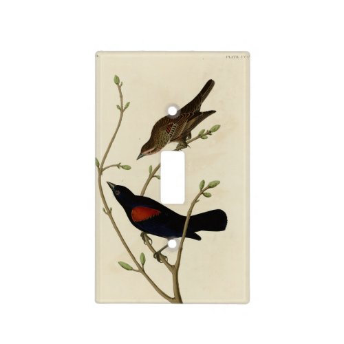 Red_winged Blackbird _ Audubons Birds of America Light Switch Cover