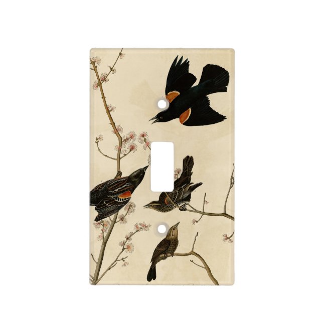 Red winged Blackbird - Audubon's Birds of America Light Switch Cover (Front)