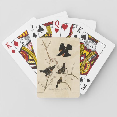 Red winged Blackbird _ Audubons Birds of America Playing Cards