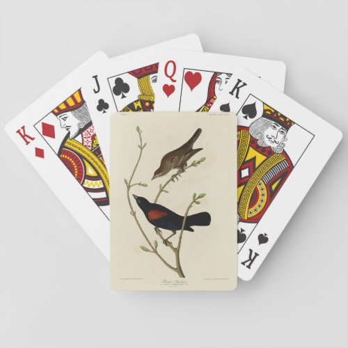 Red_winged Blackbird _ Audubons Birds of America Playing Cards