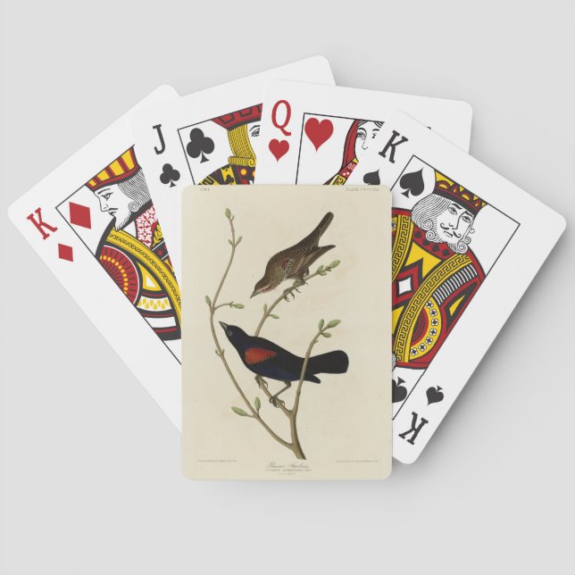 Red-winged Blackbird - Audubon's Birds of America Poker Cards (Back)