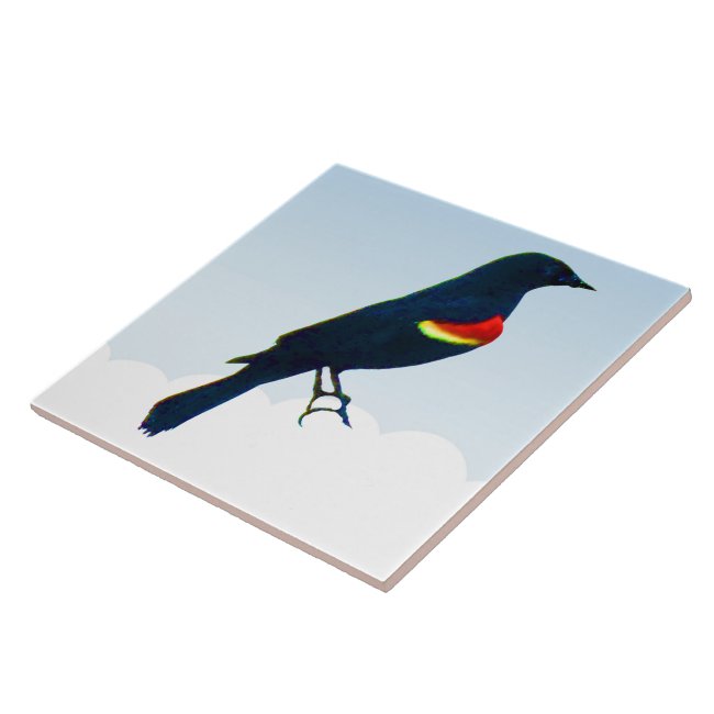Red-winged Blackbird Blue Ceramic Tile
