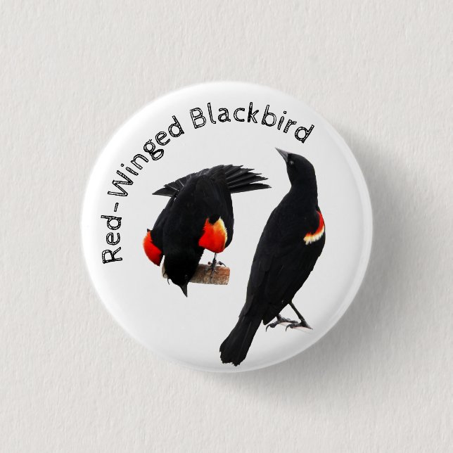 Red-Winged Blackbird Button (Front)