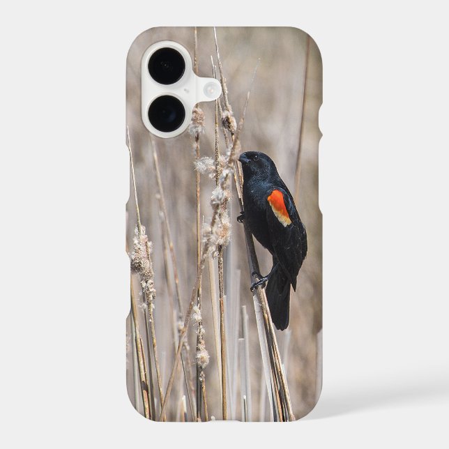 Red Winged Blackbird Case-Mate iPhone Case (Back)