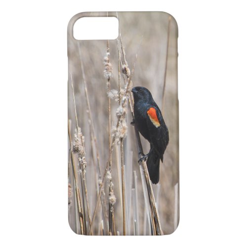 Red Winged Blackbird iPhone 87 Case