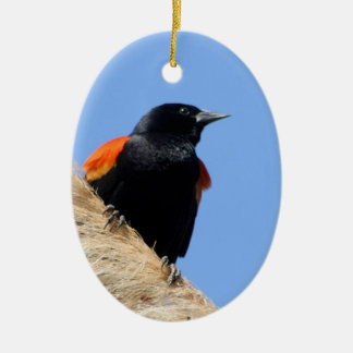 Red-winged Blackbird Ceramic Ornament