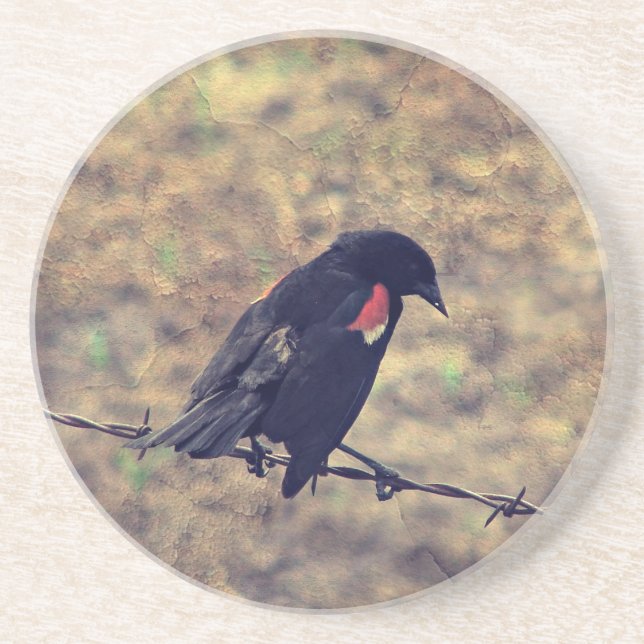 Red Winged Blackbird Drink Coaster (Front)