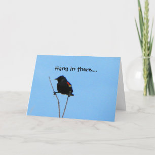 Red-winged Blackbird Get Well Card