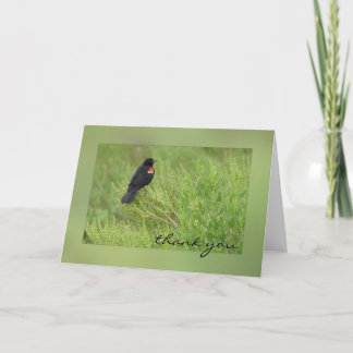 Red Winged Blackbird Greeting Card