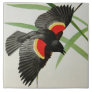 Red-winged Blackbird image by Fuertes, 1919 Tile