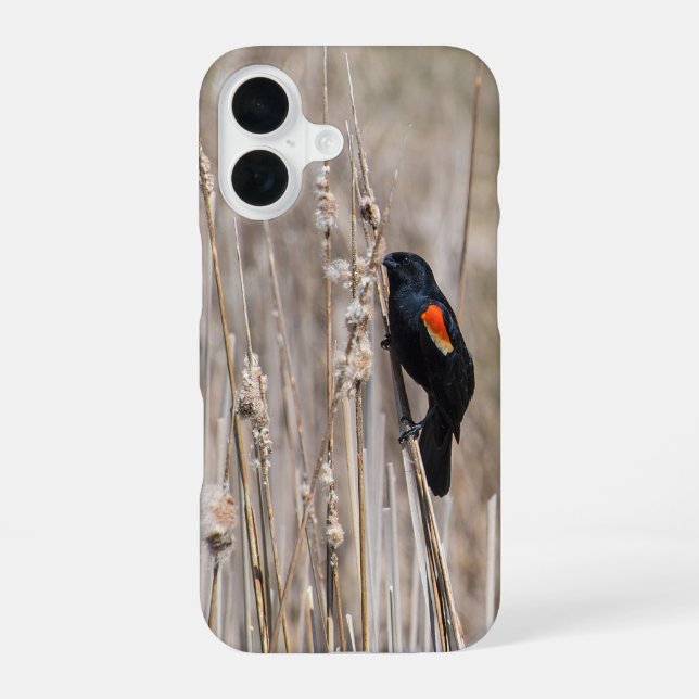 Red-winged Blackbird Iphone Case (Back)