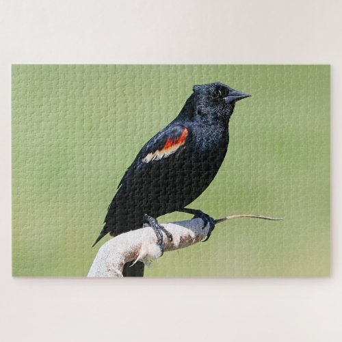 Red_winged Blackbird Jigsaw Puzzle