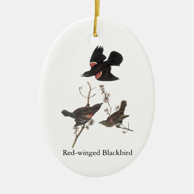 Red-Winged Blackbird, John Audubon Ceramic Ornament (Front)
