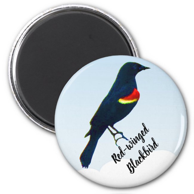 Red-winged Blackbird Magnet