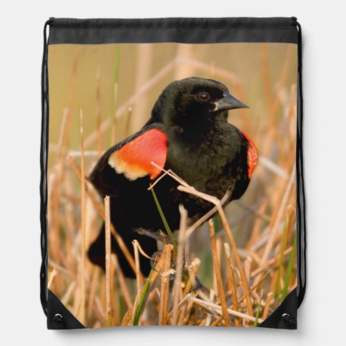 Red_winged Blackbird male singing Drawstring Bag