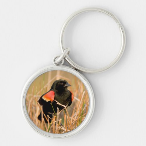 Red_winged Blackbird male singing Keychain