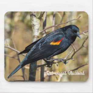 Red-Winged Blackbird Mouse Pad
