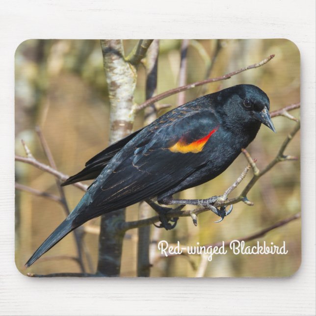 Red-Winged Blackbird Mouse Pad (Front)