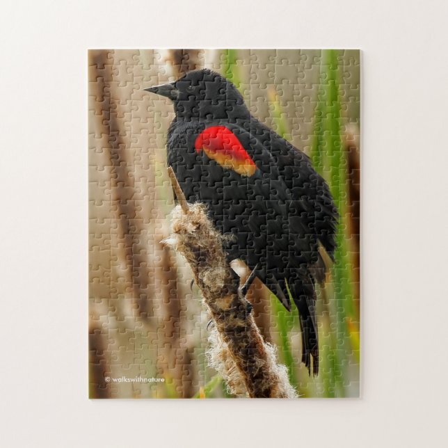Red-Winged Blackbird on the Bulrush Jigsaw Puzzle (Vertical)