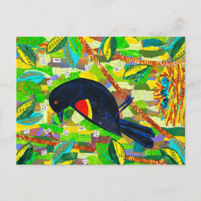Red-winged Blackbird Postcard (Front)