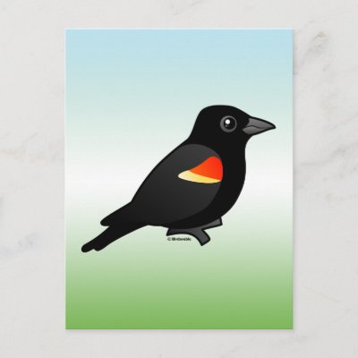 Red-winged Blackbird Postcard