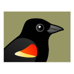 Perched Red-winged Blackbird Postcard