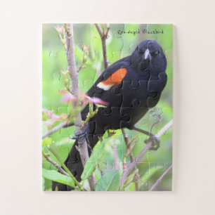 Red-winged Blackbird Puzzle