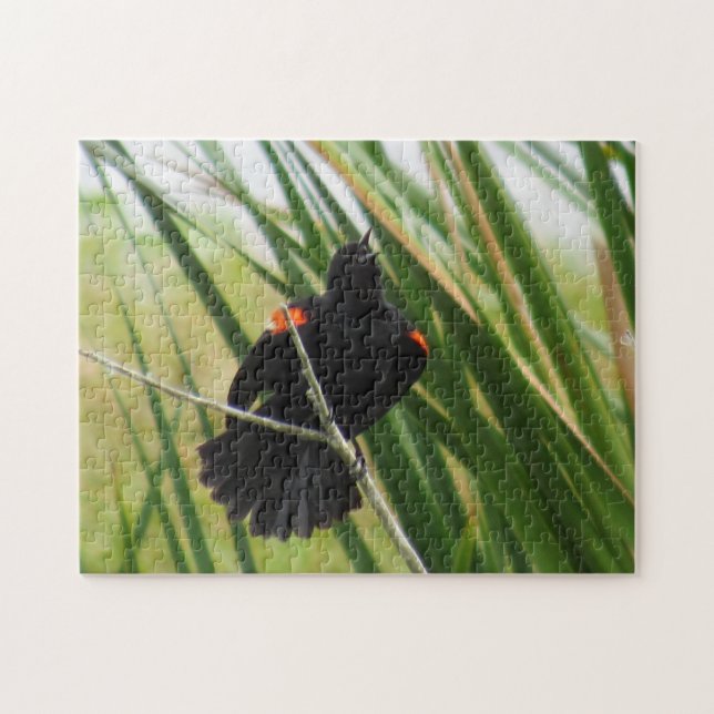 Red Winged Blackbird Singing - Bird Jigsaw Puzzle (Horizontal)