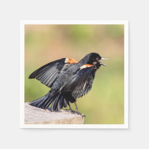 Red Winged Blackbird Singing Paper Napkins