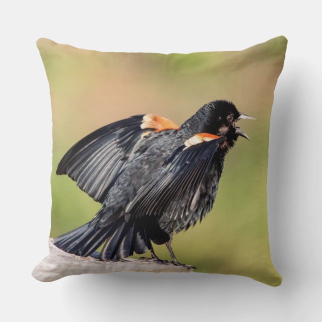 Red Winged Blackbird Singing Throw Pillow (Front)