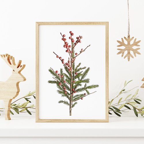 Red Winter Berries and Pine Poster