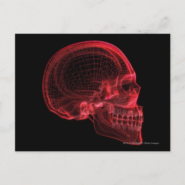 Red wireframe of a skull postcard (Front)