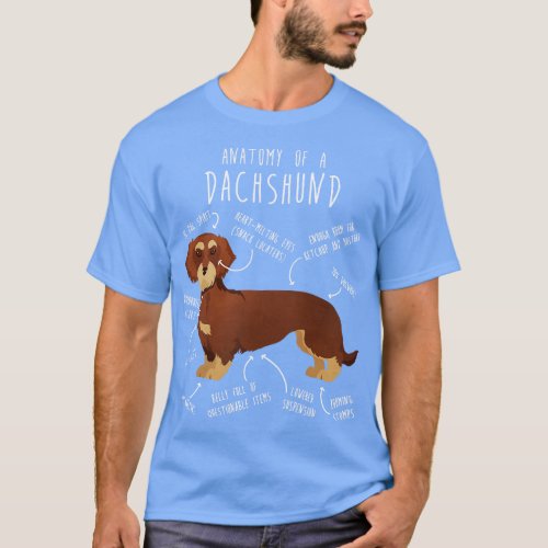 Red Wirehaired Dachshund Dog Anatomy T_Shirt