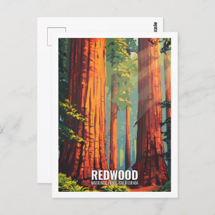 Red Wood National Park California USA Postcard