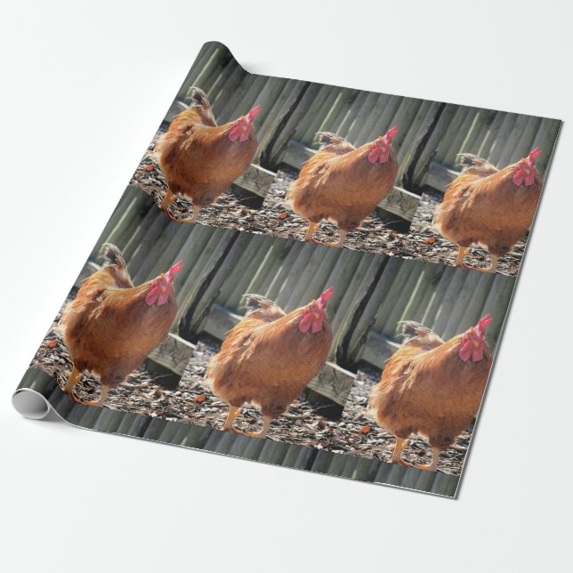 Red Wrapping Paper (Unrolled)