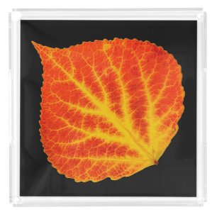Red & Yellow Aspen Leaf #10 Acrylic Tray