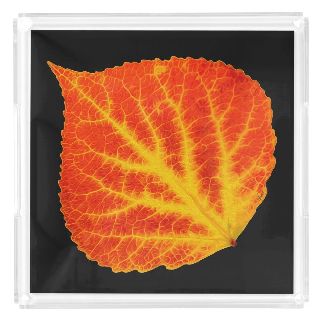 Red & Yellow Aspen Leaf #10 Acrylic Tray (Front)