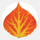 Red &amp; Yellow Aspen Leaf #10 Classic Round Sticker