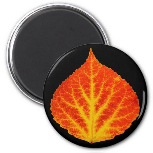 Red  Yellow Aspen Leaf 10 Magnet