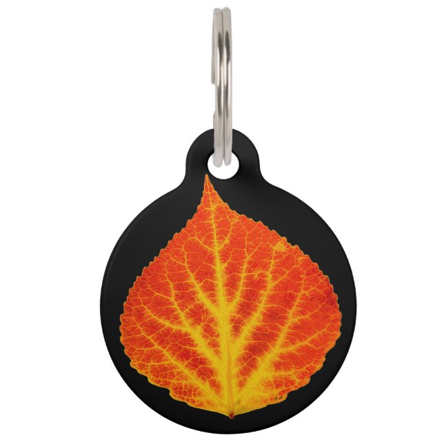 Red & Yellow Aspen Leaf #10 Pet ID Tag (Front)