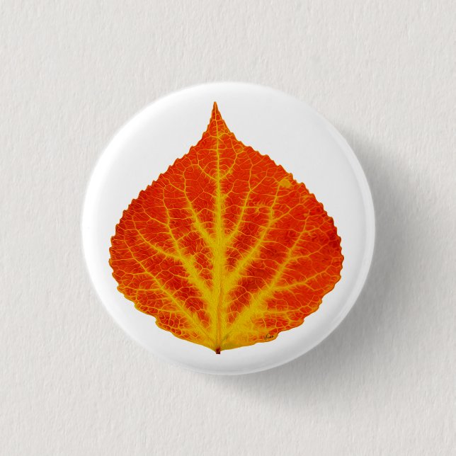 Red & Yellow Aspen Leaf #10 Pinback Button (Front)
