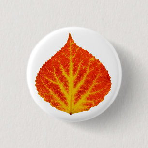 Red & Yellow Aspen Leaf #10 Pinback Button