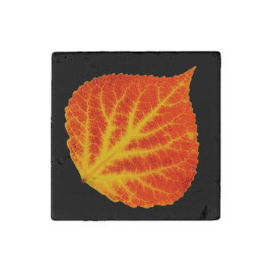 Red & Yellow Aspen Leaf #10 Stone Magnet