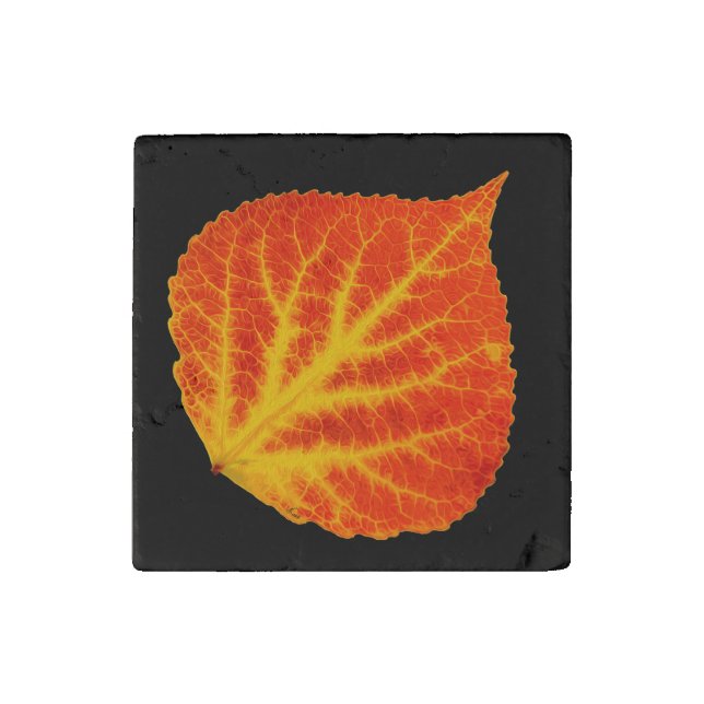 Red & Yellow Aspen Leaf #10 Stone Magnet (Front)