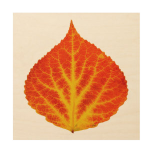 Red & Yellow Aspen Leaf #10 Wood Wall Art