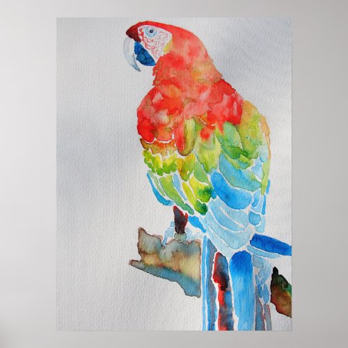 Red Yellow Blue Macaw Parrot Watercolor Poster