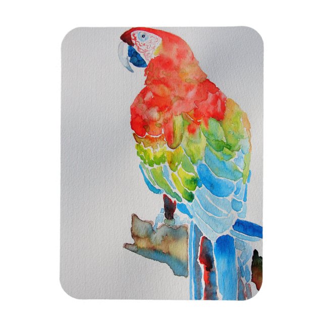 Red Yellow Blue Macaw Parrot Watercolor Poster Magnet (Vertical)