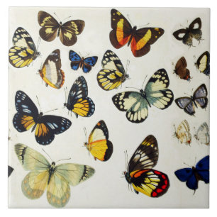 RED YELLOW BLUE WHITE BUTTERFLIES Beauty Nature Ceramic Tile