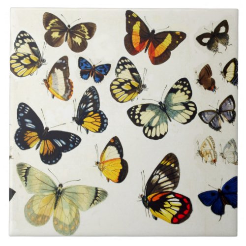 RED YELLOW BLUE WHITE BUTTERFLIES Beauty Nature Ceramic Tile